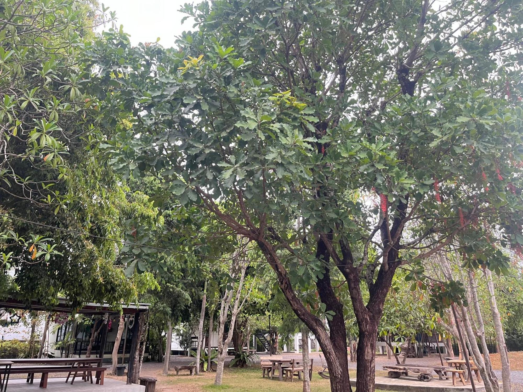 Sangkaset Resort Ban Mong Muang Εξωτερικό φωτογραφία