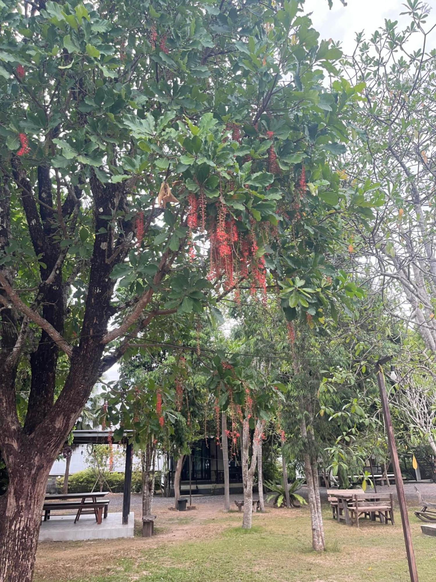 Sangkaset Resort Ban Mong Muang Εξωτερικό φωτογραφία